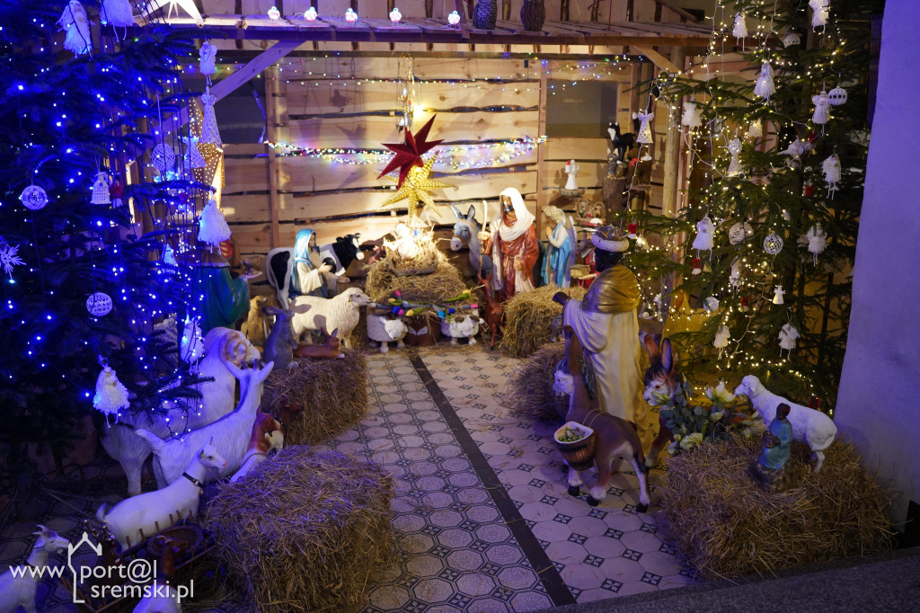 Obchody 107 rocznicy Powstania Wielkopolskiego w Dolsku