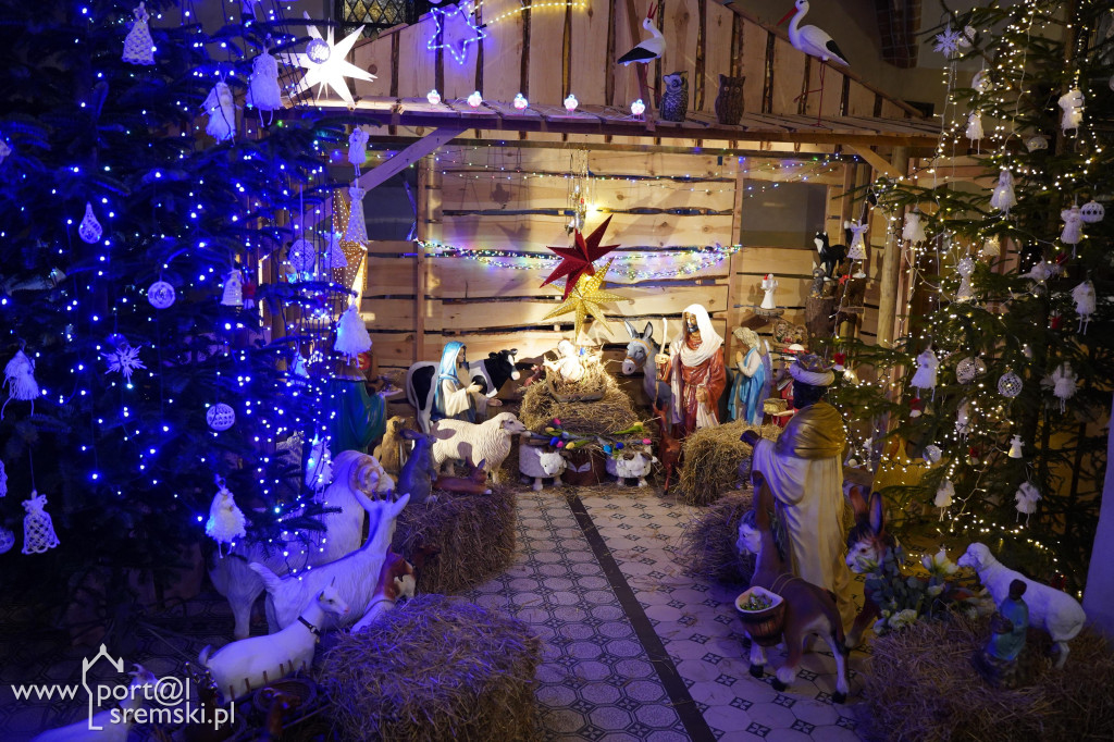 Obchody 107 rocznicy Powstania Wielkopolskiego w Dolsku