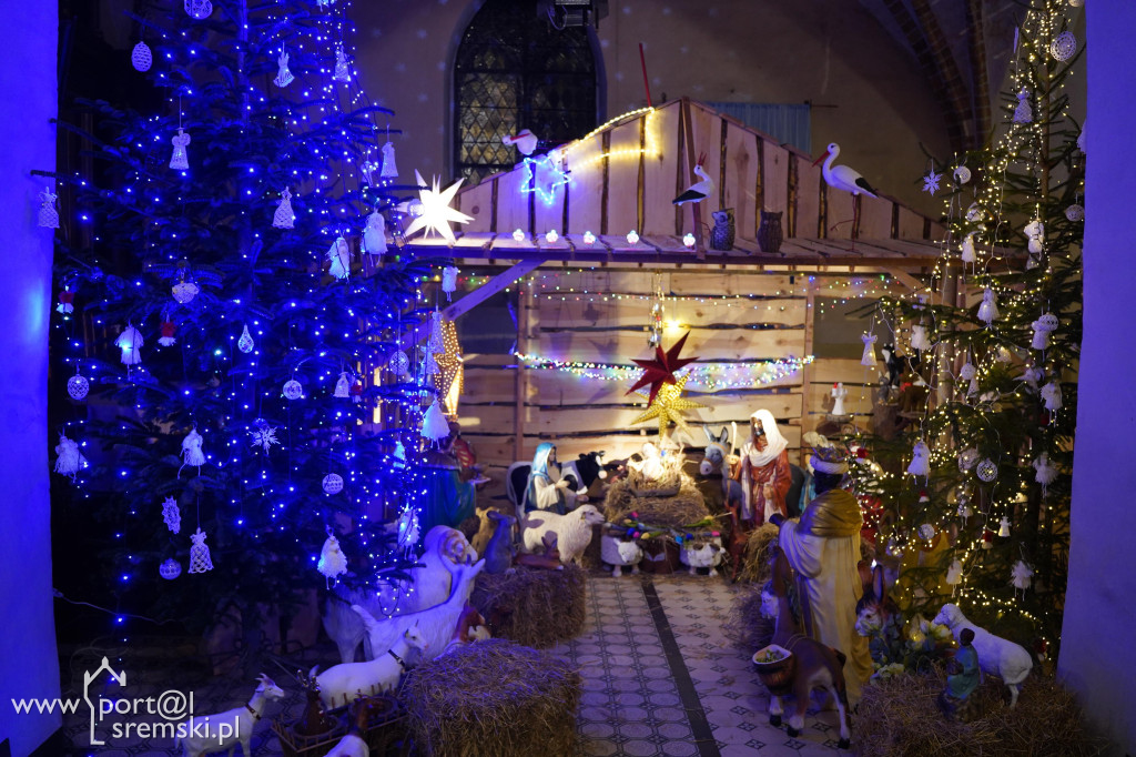 Obchody 107 rocznicy Powstania Wielkopolskiego w Dolsku