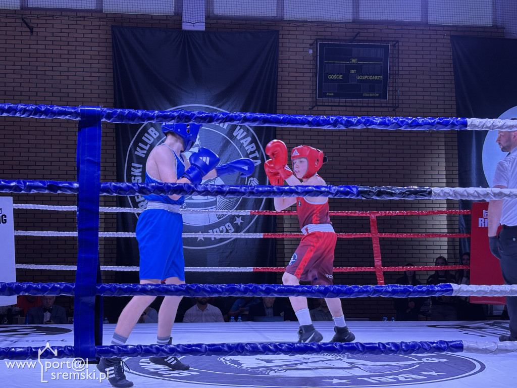 Turniej Bokserski - Memoriał im. Floriana Łuszczewskiego