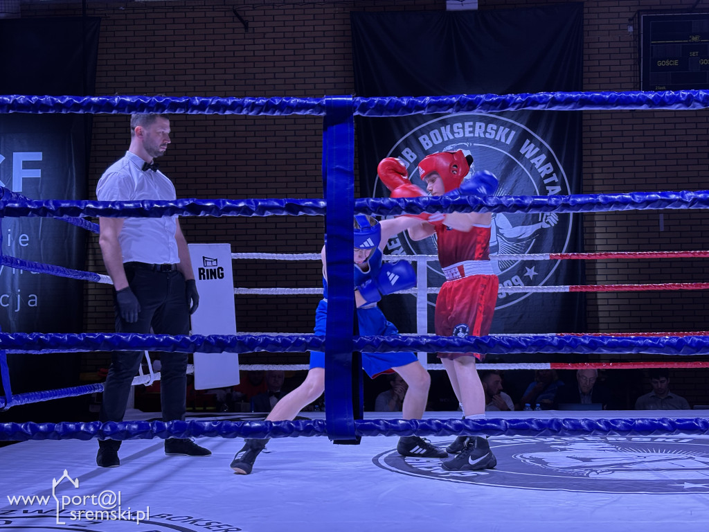 Turniej Bokserski - Memoriał im. Floriana Łuszczewskiego