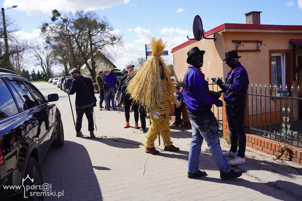 Murzenie w Zbrudzewie w lany poniedziałek