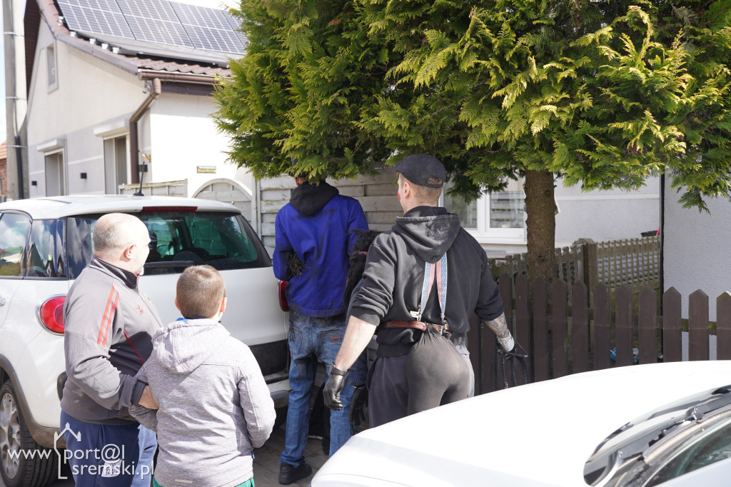 Murzenie w Zbrudzewie w lany poniedziałek