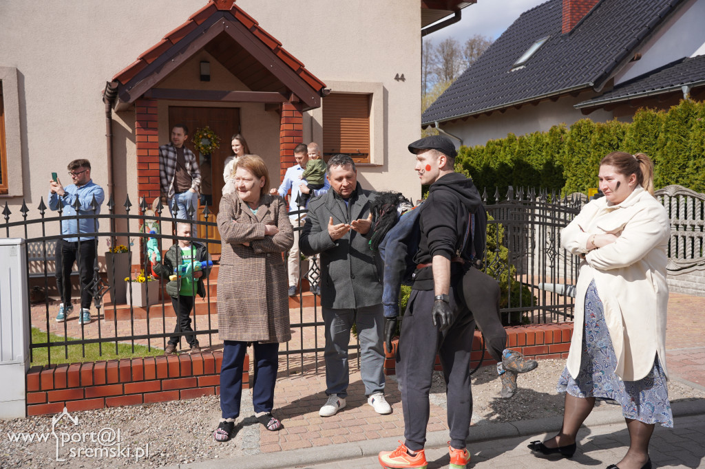 Murzenie w Zbrudzewie w lany poniedziałek