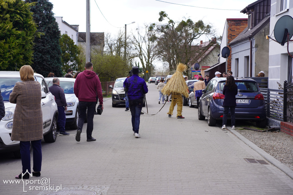 Murzenie w Zbrudzewie w lany poniedziałek