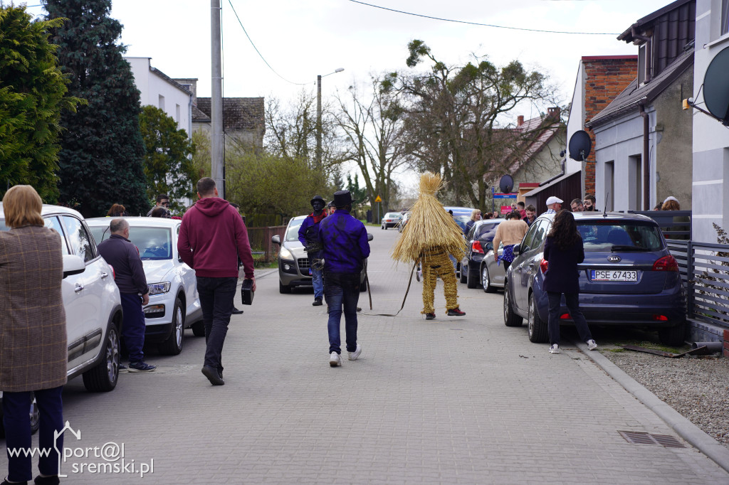 Murzenie w Zbrudzewie w lany poniedziałek