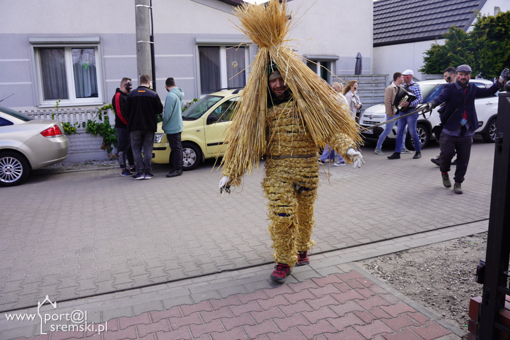 Murzenie w Zbrudzewie w lany poniedziałek
