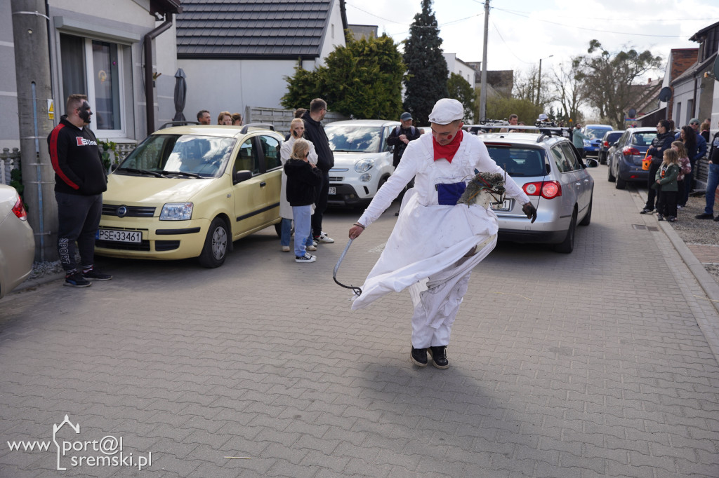 Murzenie w Zbrudzewie w lany poniedziałek