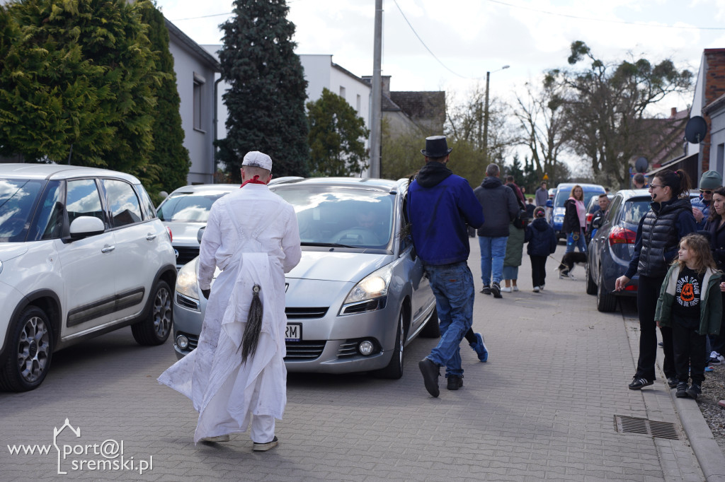 Murzenie w Zbrudzewie w lany poniedziałek