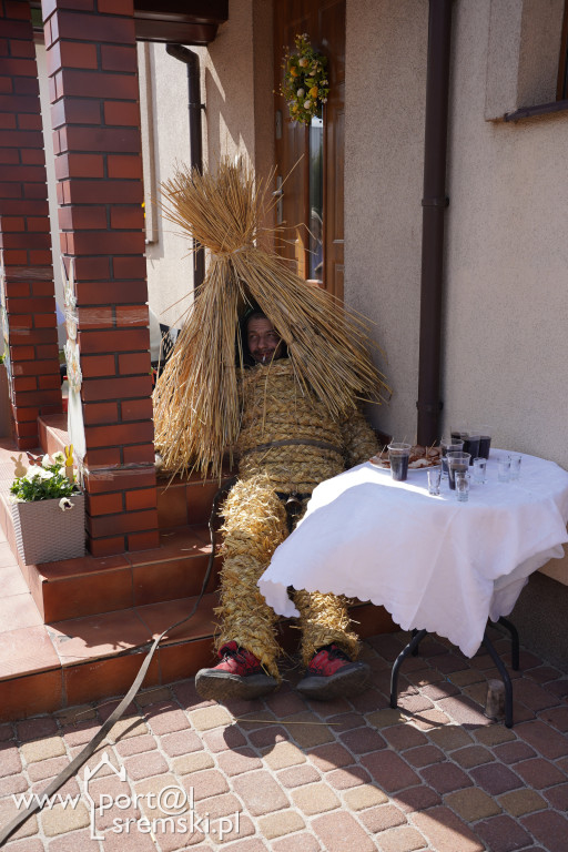 Murzenie w Zbrudzewie w lany poniedziałek