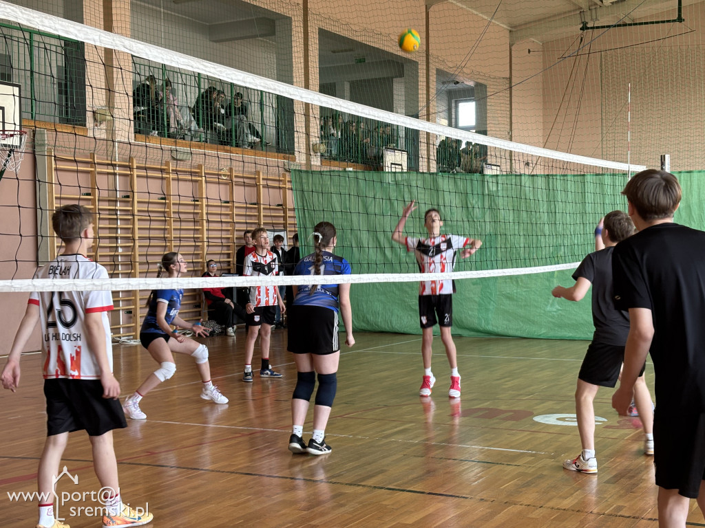 Turniej siatkówki dla klas ósmych w Ekonomie