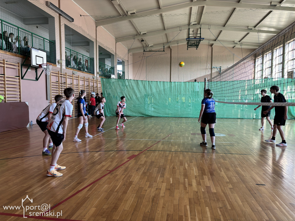 Turniej siatkówki dla klas ósmych w Ekonomie