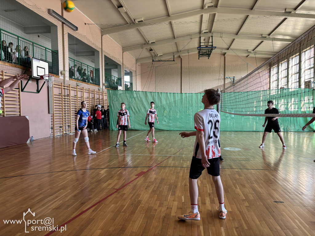 Turniej siatkówki dla klas ósmych w Ekonomie