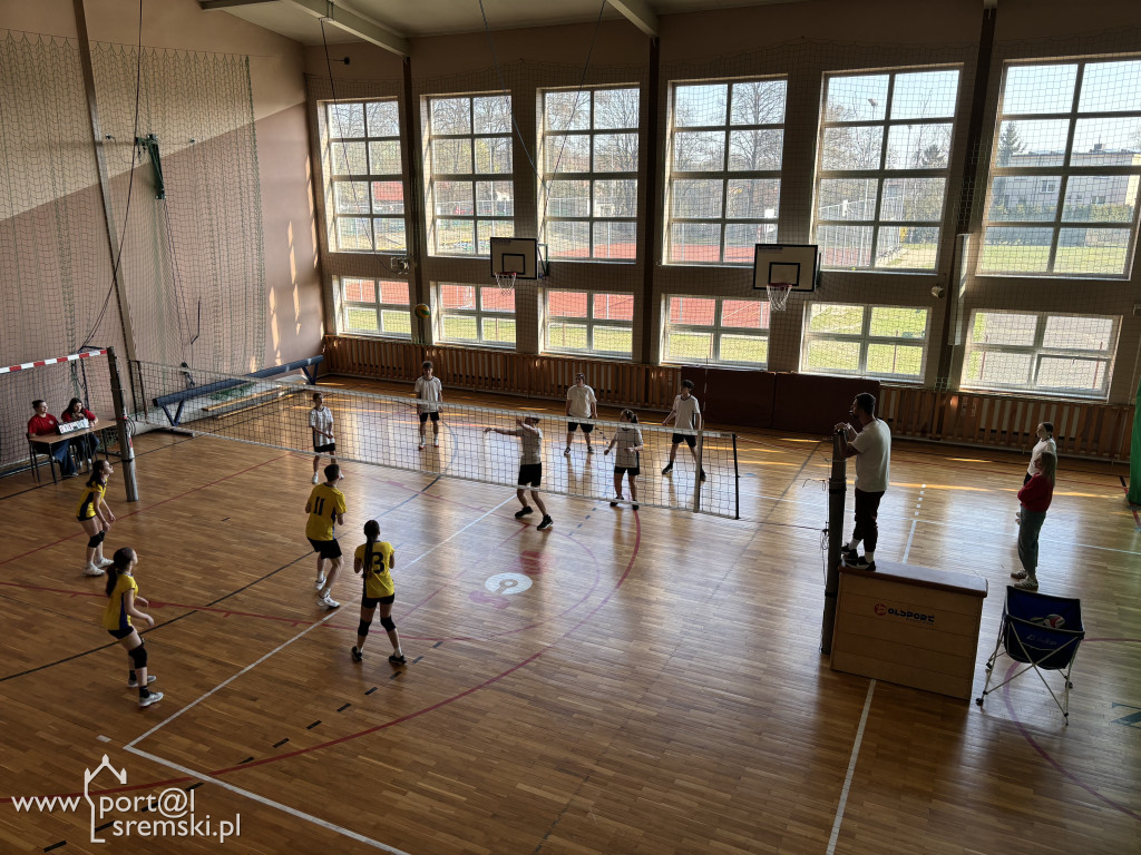 Turniej siatkówki dla klas ósmych w Ekonomie