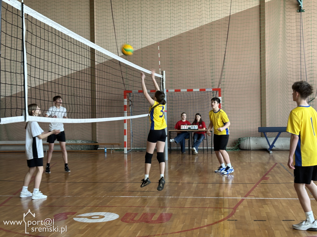 Turniej siatkówki dla klas ósmych w Ekonomie