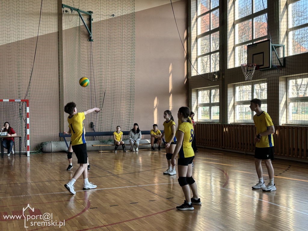 Turniej siatkówki dla klas ósmych w Ekonomie