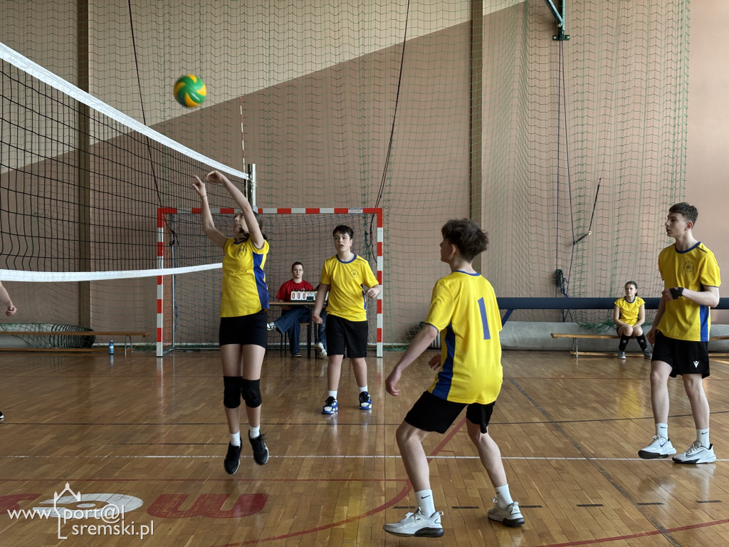 Turniej siatkówki dla klas ósmych w Ekonomie