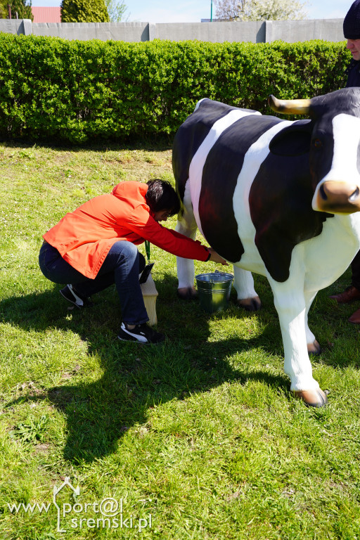 Święto Sportu w Śremie