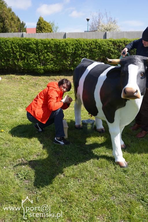 Święto Sportu w Śremie
