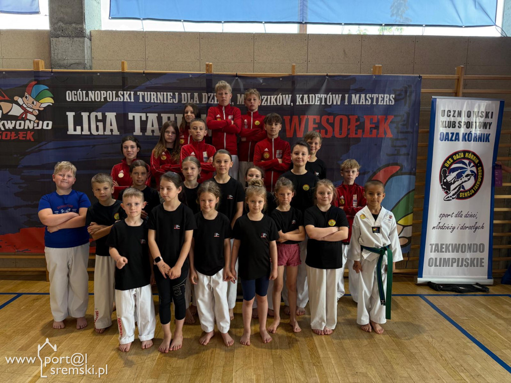 II kolejka XXV Ligi Taekwondo Wesołek