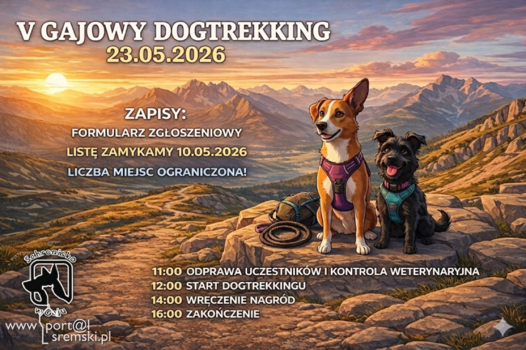 Weekend w powiecie śremskim
