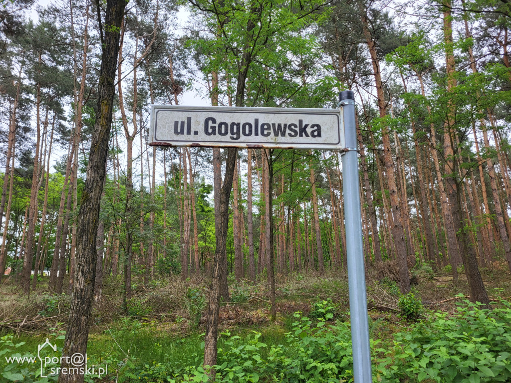 Sprzeczka w Zakrzewicach