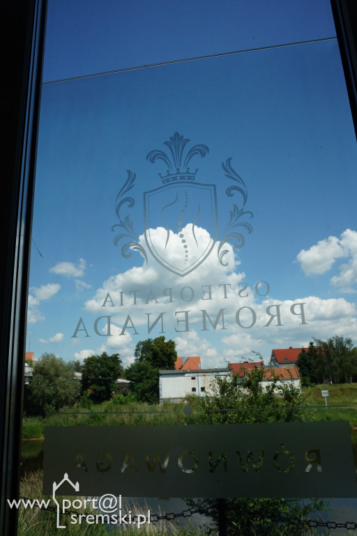 Osteopatia w Śremie