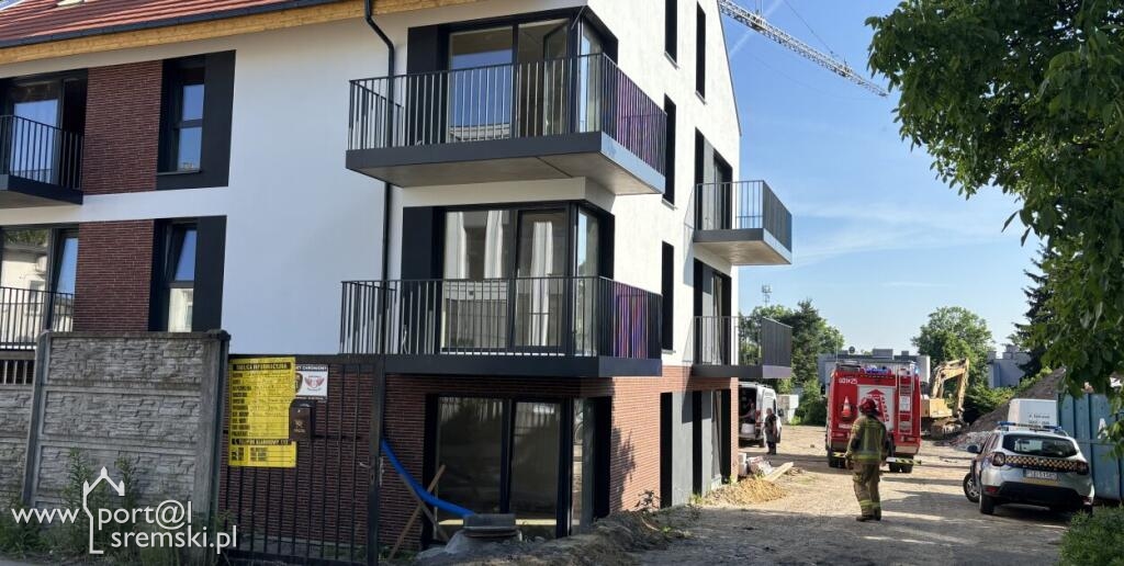 Uwięziony lis na budowie w Śremie