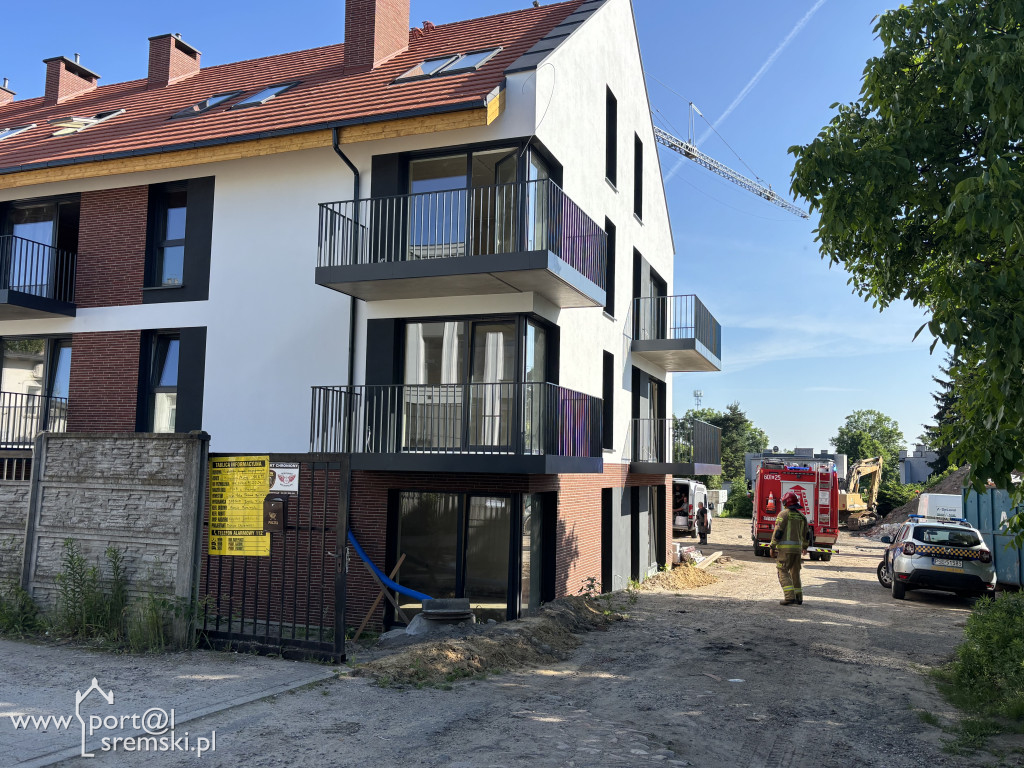 Uwięziony lis na budowie w Śremie