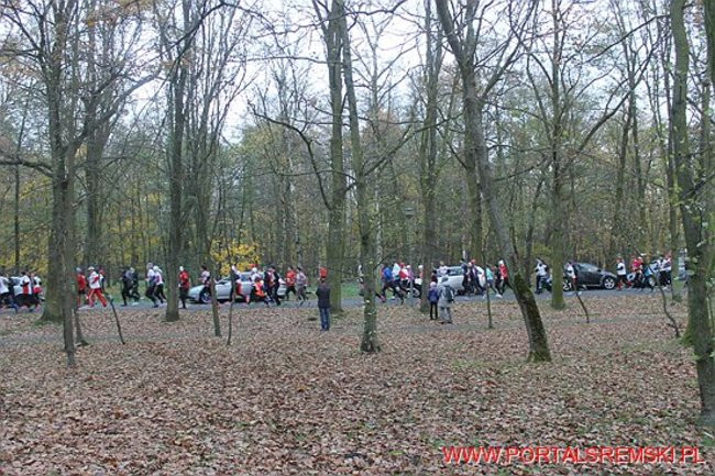 Świętowaliśmy niepodległość