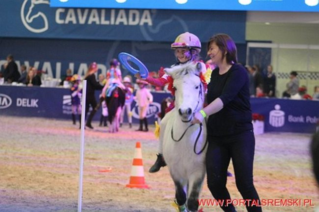 Cavaliada 2017