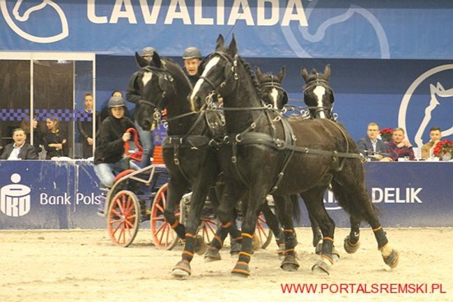 Cavaliada 2017