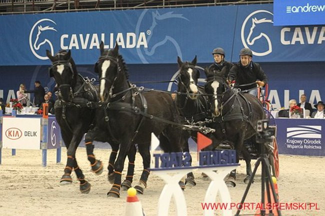 Cavaliada 2017