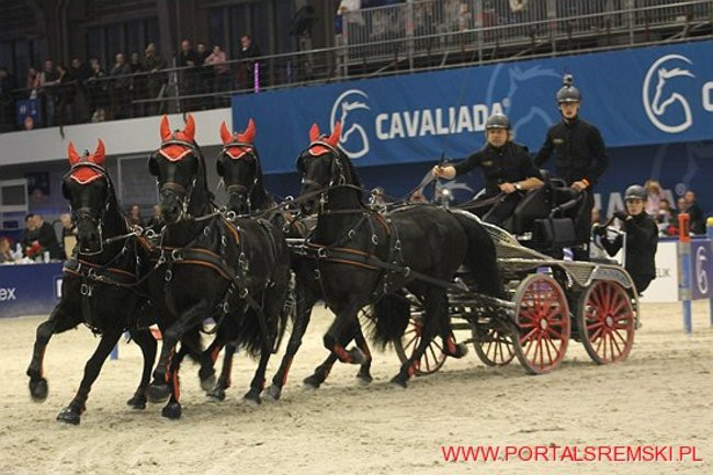 Cavaliada 2017