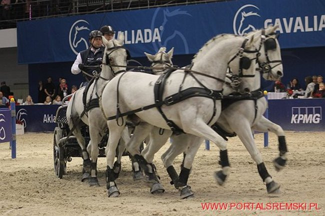 Cavaliada 2017