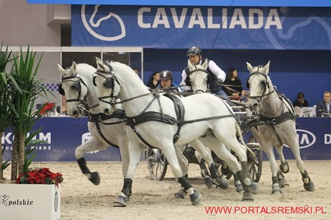 Cavaliada 2017