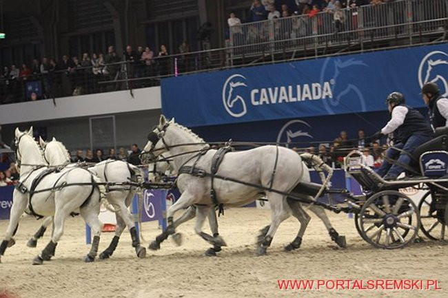 Cavaliada 2017