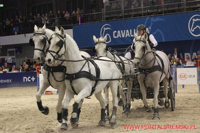 Cavaliada 2017