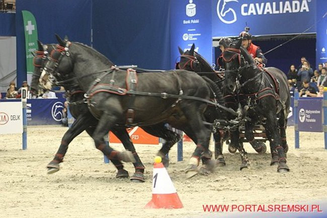 Cavaliada 2017