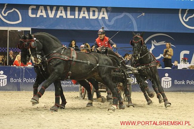 Cavaliada 2017