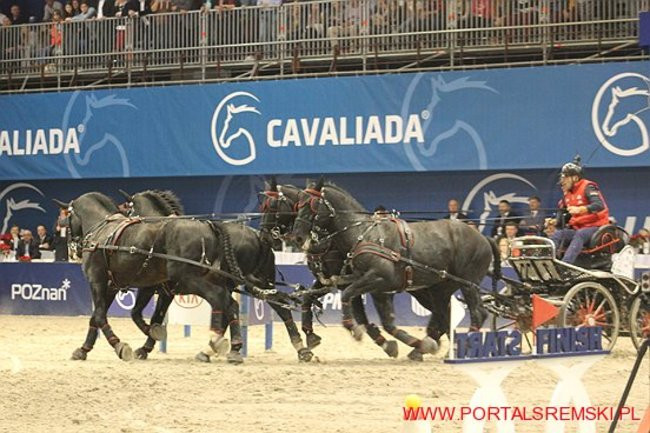 Cavaliada 2017