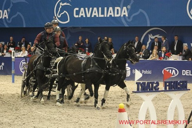 Cavaliada 2017