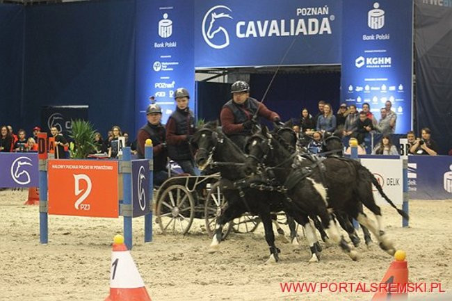 Cavaliada 2017