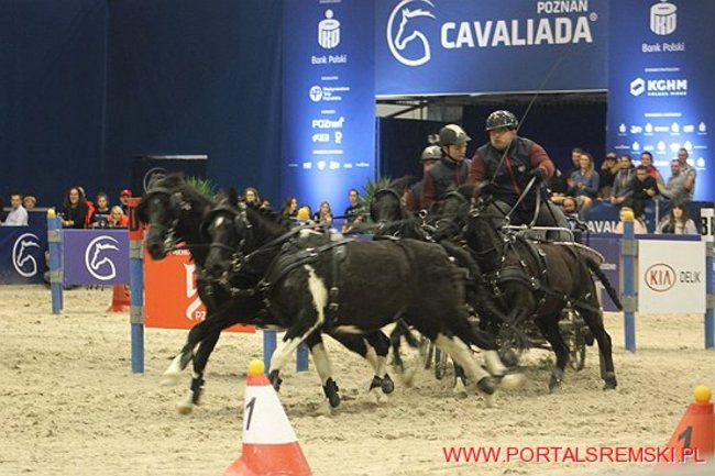 Cavaliada 2017