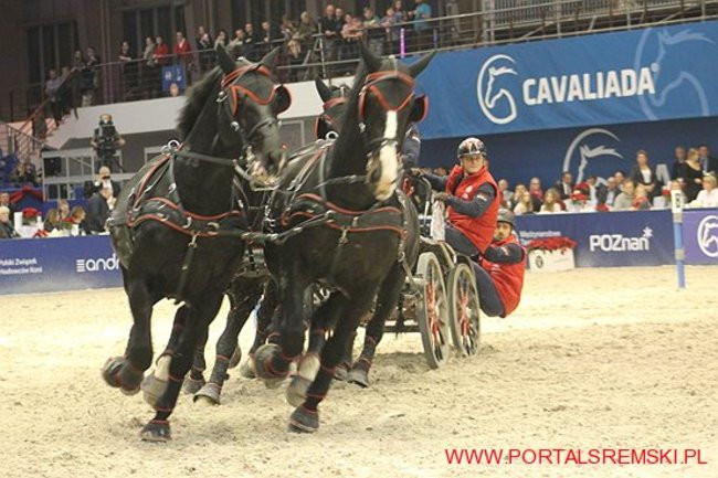 Cavaliada 2017