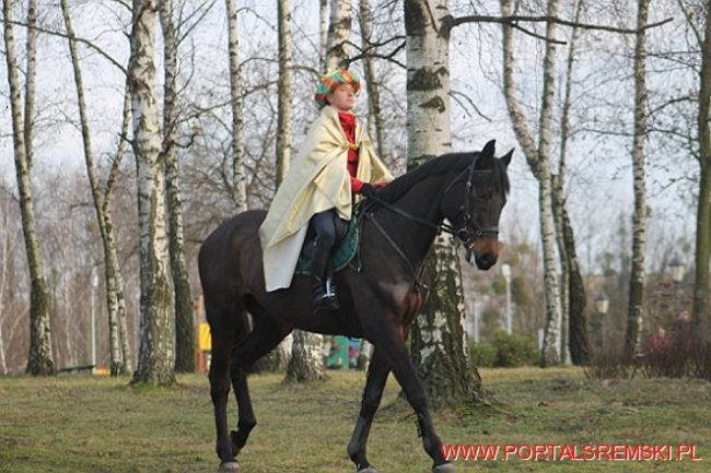 Orszak Trzech Króli w Śremie