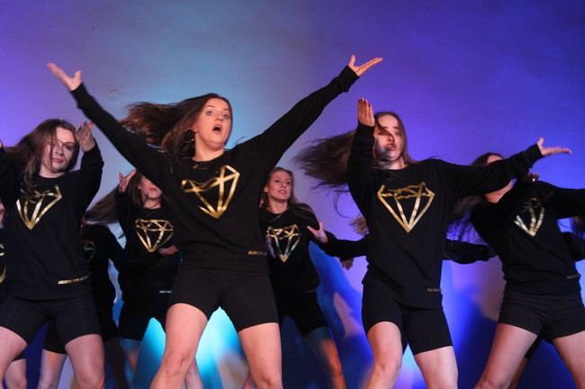 Wręczono statuetki Żyrafa 2017