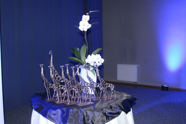 Wręczono statuetki Żyrafa 2017