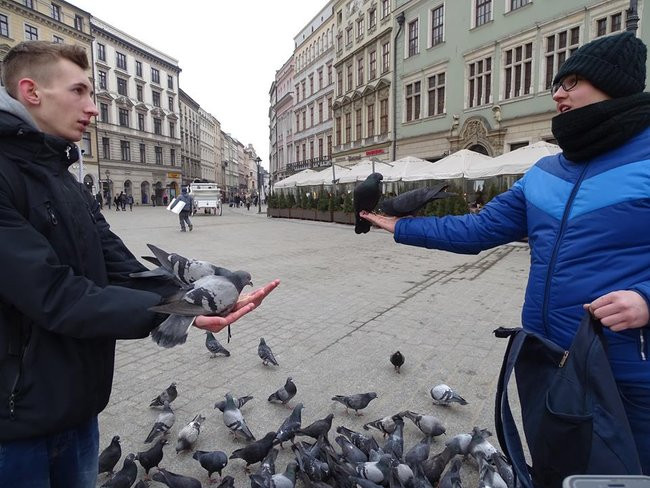 Wymiana polsko - niemiecka w EKONOMIE