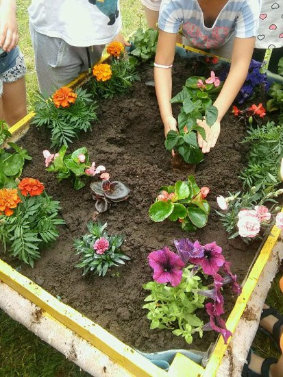 Ogród - Skarbnica Doświadczeń w Janku Wędrowniczku